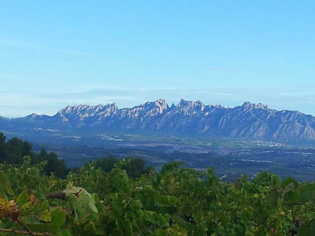 Agroturisme Cal Jeroni Avinyonet del Penedes Εξωτερικό φωτογραφία